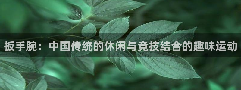 绿茵体育nba：扳手腕：中国传统的休闲与竞技结合的趣味运动