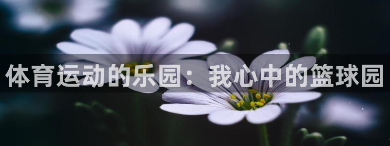 绿茵体育免费观看：体育运动的乐园：我心中的篮球园