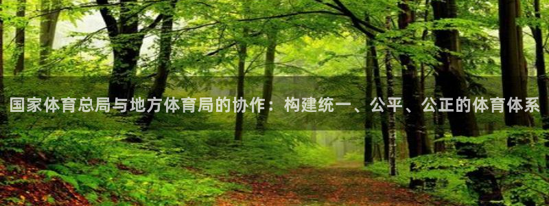 绿茵杯足球赛：国家体育总局与地方体育局的协作：构建统一、公平、公正的体育体系