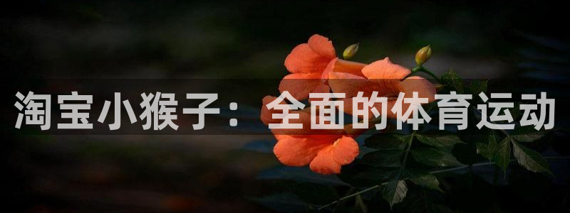 绿茵体育nba：淘宝小猴子：全面的体育运动